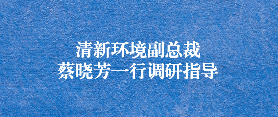 清新環(huán)境副總裁蔡曉芳一行蒞臨天晟源環(huán)保調(diào)研指導