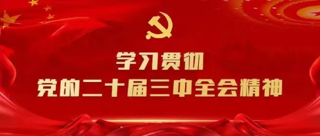 學習會議精神，貫徹落實工作 --川勘天晟源公司黨支部召開主題黨員大會